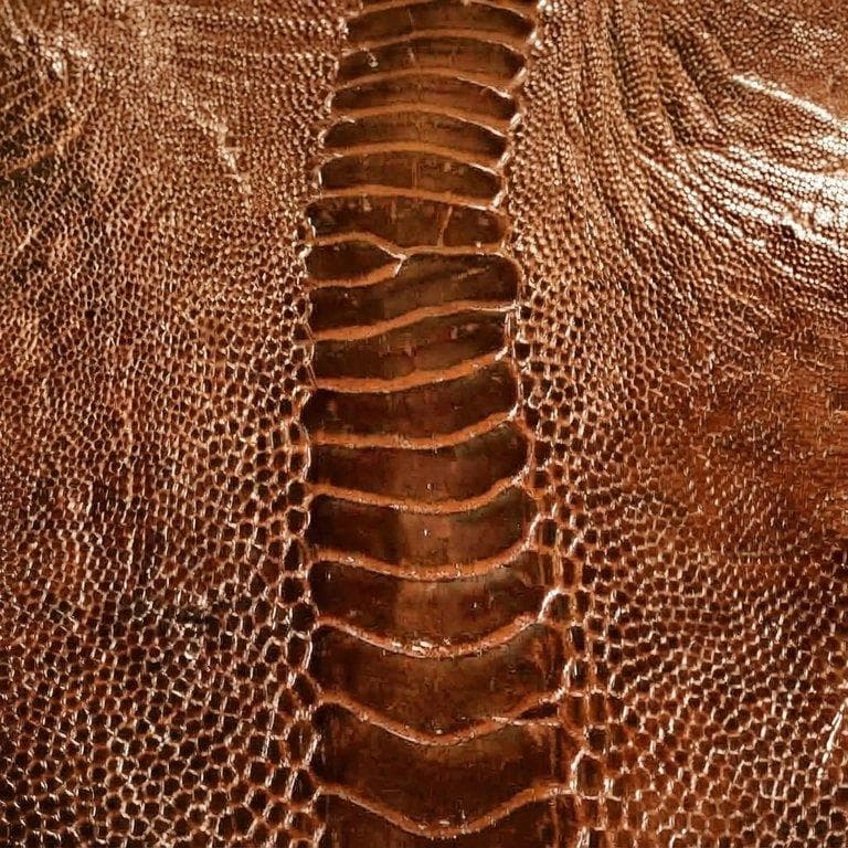 Palermo Leg Ostrich