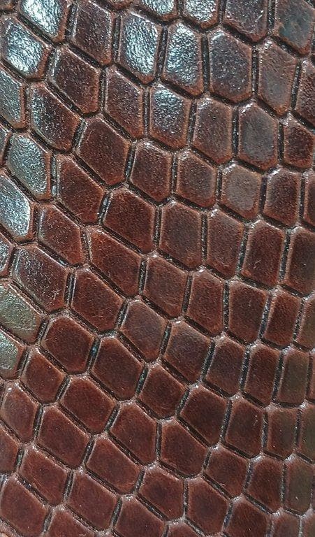 Palermo Lizard